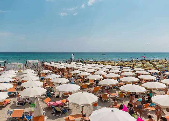 Nicolaus Club Alimini Smile